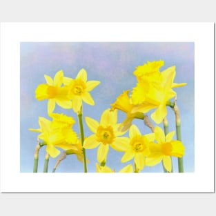 Spring Daffodil Flowers Posters and Art